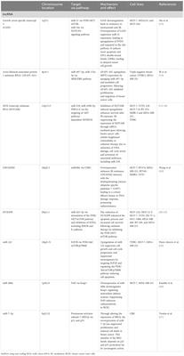 Innovative therapeutic strategies to overcome radioresistance in breast cancer